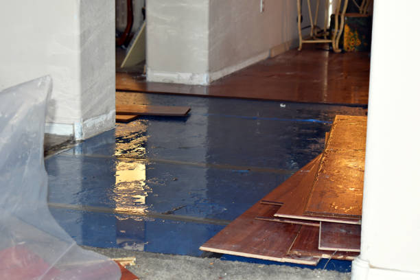 Professional Water Damage Restoration technician working in Piru, CA